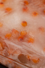 sea buckthorn berries, orange sea buckthorn berries during deep freezing, close up