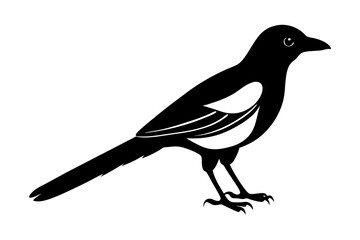 Obraz premium Magpie Silhouette vector