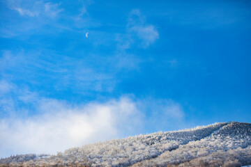 Winter Wonderland: Ski Mountain in Full Snow