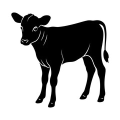 Silhouette of a young calf standing in the field