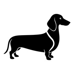 Silhouette of a dachshund standing on white background