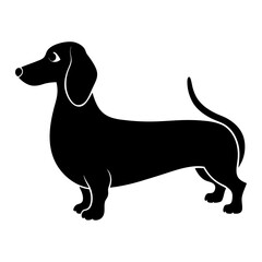 Silhouette of a dachshund standing on white background