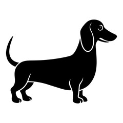 Silhouette of a dachshund standing on white ground