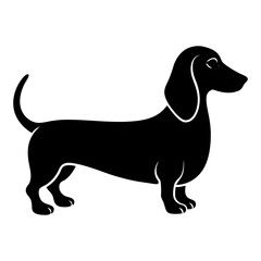 Silhouette of a dachshund standing on a white background