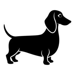 Silhouette of a dachshund standing on a white background