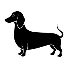 Silhouette of a dachshund standing on a white background