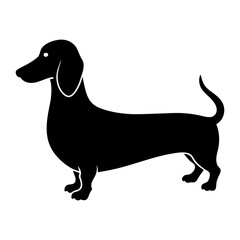 Silhouette of a dachshund standing on a white background