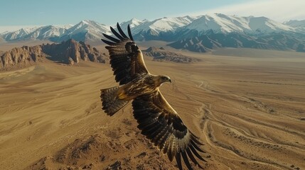 A majestic eagle soars gracefully above a vast, arid landscape. Snow-capped mountains form the backdrop
