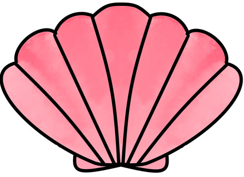Pink shell