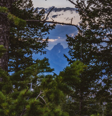 The Grand Tetons Peeking Through a Frame of Pine Trees