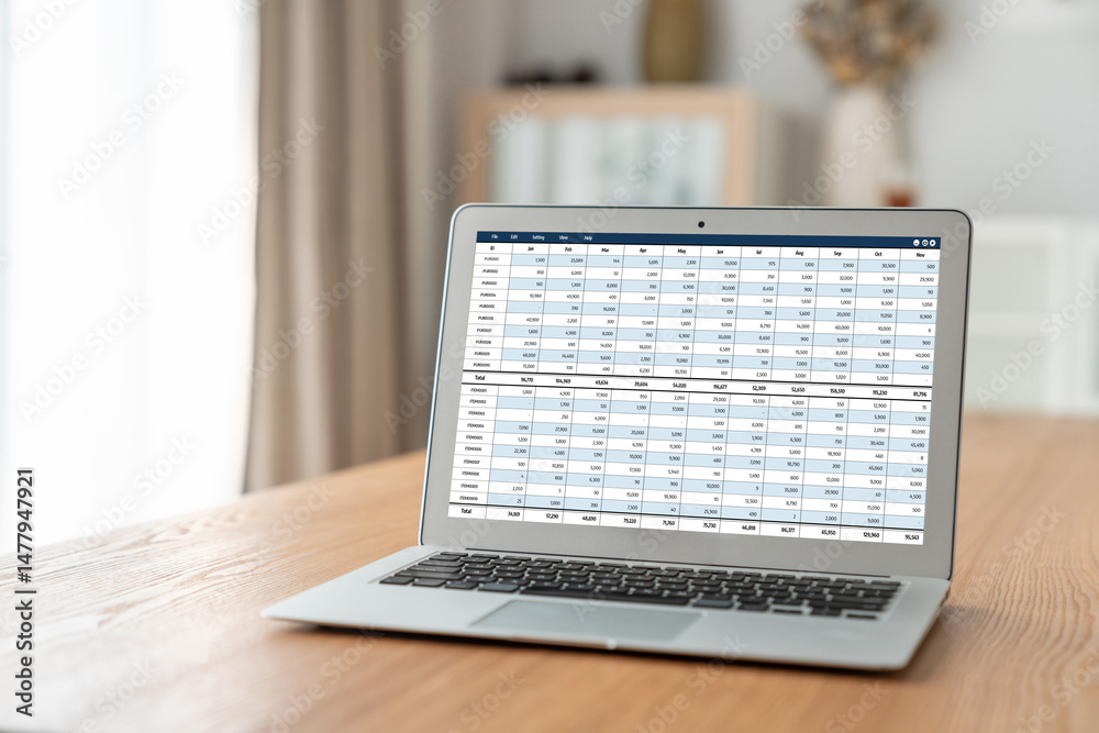 Poster accounting software on computer screen showing financial statement spreadsheets and account balance 