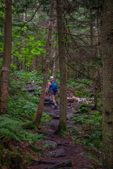 Hiker Exploring a Forest Trail in Vermont’s Green Mountains