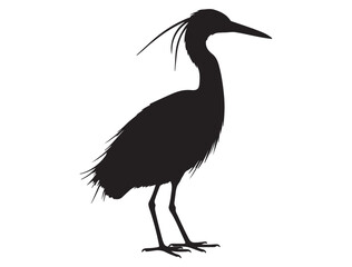 Obraz premium EGRET SILHOUETTE WHITE BACKGROUND