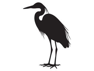 Obraz premium EGRET SILHOUETTE WHITE BACKGROUND
