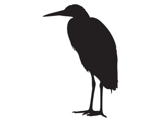 EGRET SILHOUETTE WHITE BACKGROUND