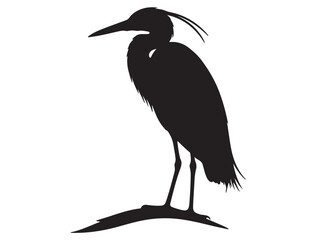 EGRET SILHOUETTE WHITE BACKGROUND