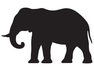 ELEPHANT SILHOUETTE WHITE BACKGROUND