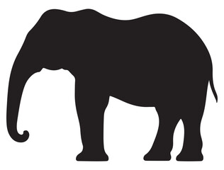 ELEPHANT SILHOUETTE WHITE BACKGROUND
