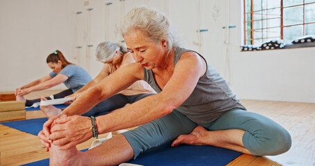 Elderly woman, stretching and feet in yoga class, flexibility and spiritual wellness. Senior person, muscle warm up and community for pilates, holistic practice and mobility exercise at health club