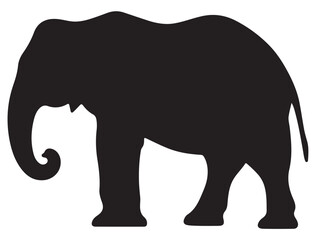 ELEPHANT SILHOUETTE WHITE BACKGROUND