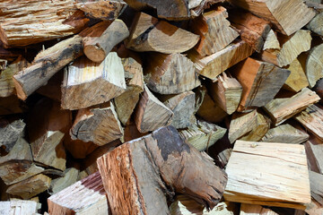 MADERA TRONCO TEXTURA MADERA