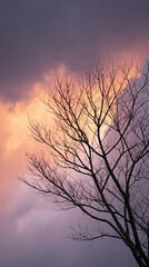 Obraz premium Bare branches silhouette against a twilight canvas, echoing Samhain's whispers, nature's theatre before the cosmic dusk unfolds