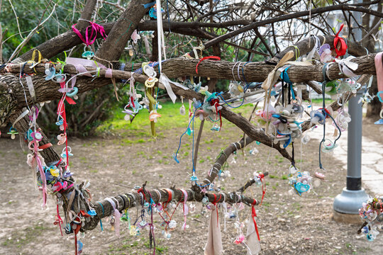 Dozens of baby pacifiers hang from a tree branch in an outdoor setting, symbolizing a childhood milestone or ritual.