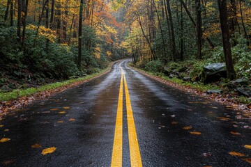 Obraz premium A winding wet road curves through autumn colored trees