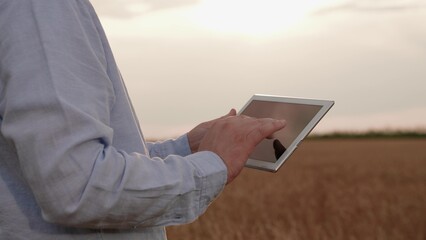 Businessman working with digital tablet close-up. Farmer's hands holding computer tablet in wheat field. Wheat growing technology harvest monitoring. Agro industry. Growing grain, rural agribusiness
