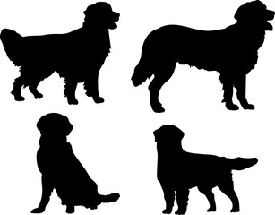 Golden Retweiler Dog Silhouette Vector
