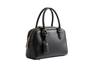 Luxury Black Leather Handbag Fashionable Style, transparent background