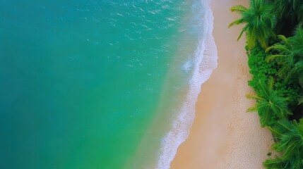 Tranquil beach scene, soft waves lapping at golden sand, lush greenery framing the shoreline, perfect for relaxation.