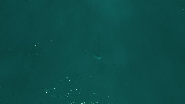 a boat in the middle of the ocean