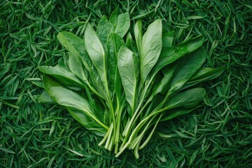 Obraz premium Fresh Green Spinach Leaves on Grass Background - Healthy Food Concept