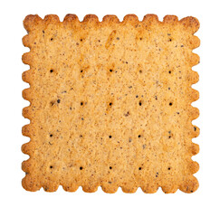 Single square cracker with poppy seeds isolated on white background