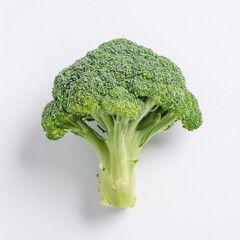 Broccoli floret isolated on white background