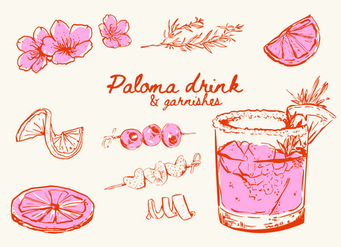 Hand drawn Paloma drink and a set of drink garnishes, lime slices, orange  peels, olive cocktail sticks, starwberry cocktail sticks, flowers and rosemary branch, Drink doodle illustrations 
