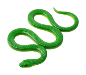 PNG Vibrant green snake with textured scales in coiled position