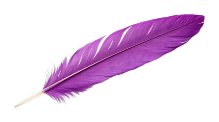 PNG Vibrant purple feather close-up on white background