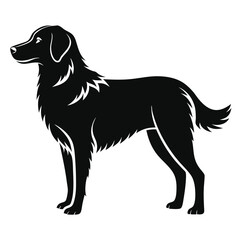 Black Silhouette Illustration of a Standing Dog, Canine Side Profile Vector Image