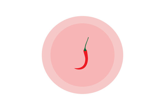 Minimalist red chili pepper icon centered on a soft pink circle, isolated on white. Perfect for food, spice, hot, modern kitchen, and graphic design themes. PNG