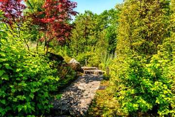 Tourist trail in a park with dense forest
