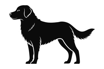 Silhouette of a Black FlatCoated Retriever Dog Standing in Side Profile