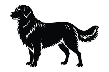 Majestic Black Retriever Silhouette with Detailed Fur and Graceful Posture, Vector Illustration