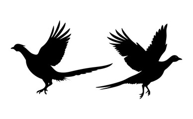 A Sat of a Pheasant silhouette, Flying pheasant silhouette, Pheasant SVG, Pheasant silhouette clip art with a white background