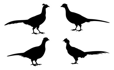 A Sat of a Pheasant silhouette, Flying pheasant silhouette, Pheasant SVG, Pheasant silhouette clip art with a white background
