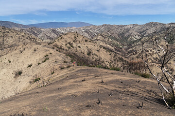 Distant Woman Walking Up Broad Wildfire Burned Ridge In The Sierra Pelona Range