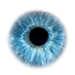 A macro view illustration shows the blue iris and pupil of a human eye, a design representing vision