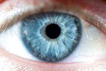 Close-up of half closed male eye with relaxed blue iris. Structural and anatomical details of the...