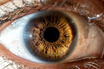 Close-up of female eye with brown coloured closed iris. Structural and anatomical details of human...